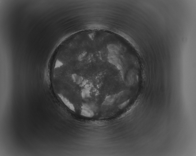 X0000100891022200807151053