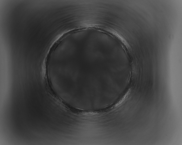 X0000100891023200807151053