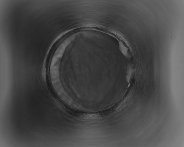 X0000100891024200807151053