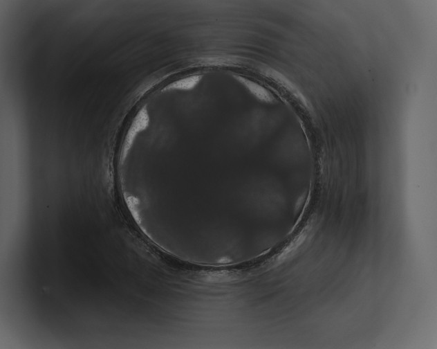 X0000100891025200807151053