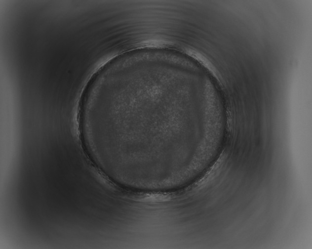 X0000100891026200807151053