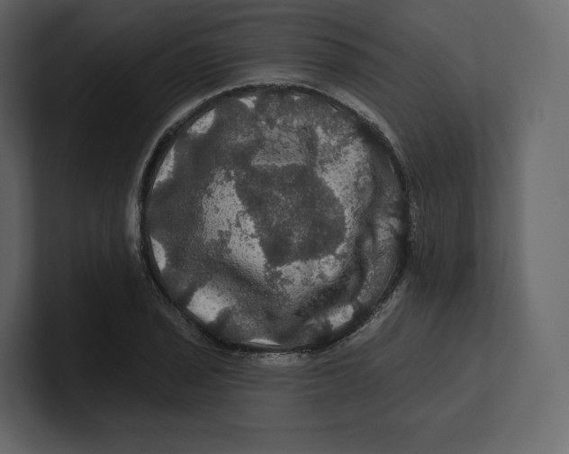 X0000100891029200807151053