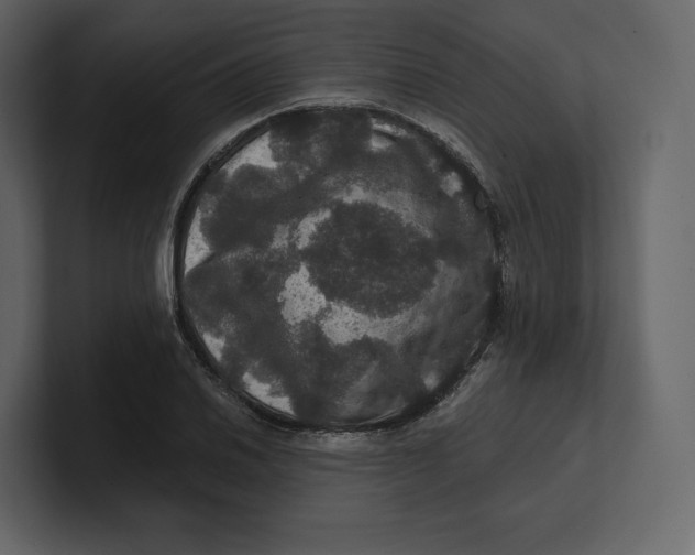 X0000100891030200807151053