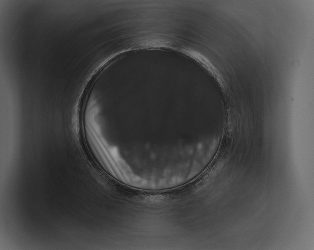 X0000100891031200807151053