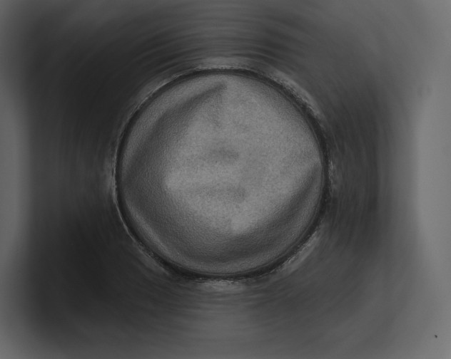 X0000100891033200807151053