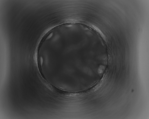 X0000100891035200807151053