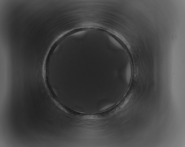 X0000100891037200807151053