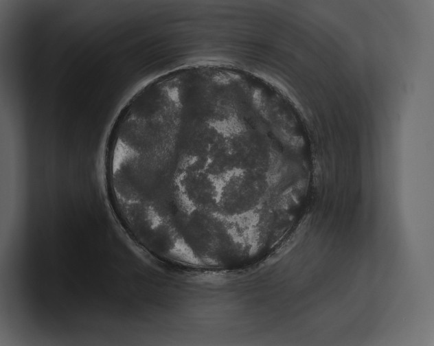 X0000100891038200807151053