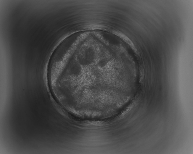 X0000100891039200807151053