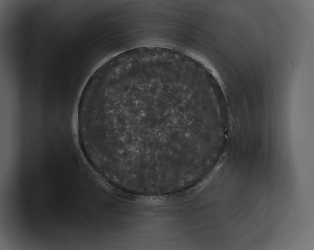 X0000100891040200807151053