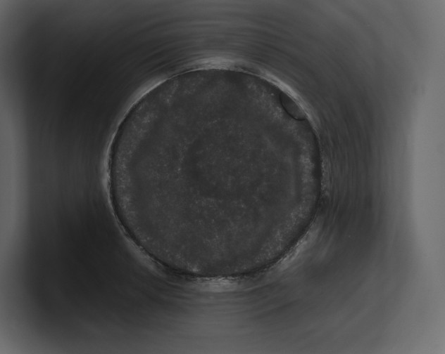 X0000100891042200807151053