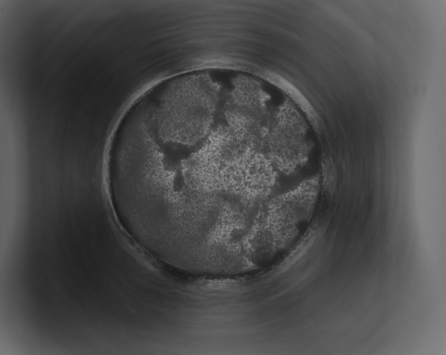 X0000100891043200807151053