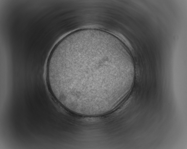 X0000100891044200807151053