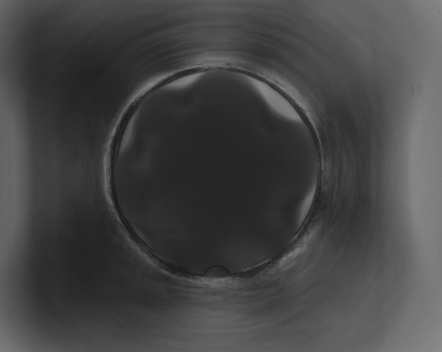 X0000100891045200807151053