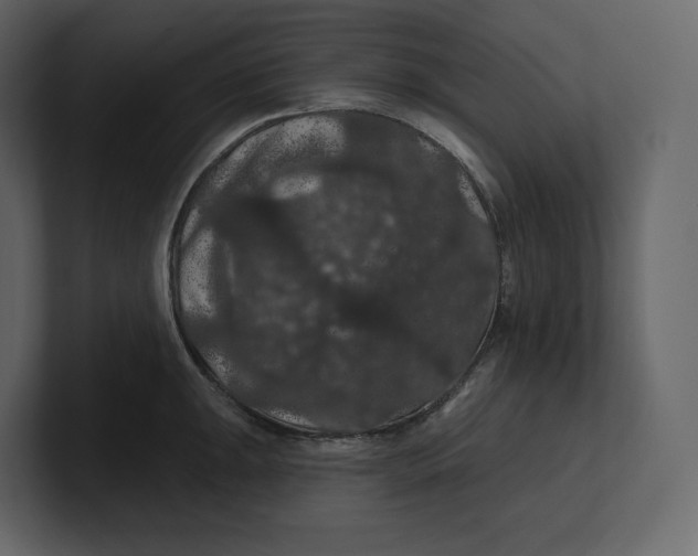 X0000100891047200807151053