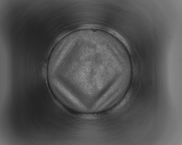 X0000100891049200807151053