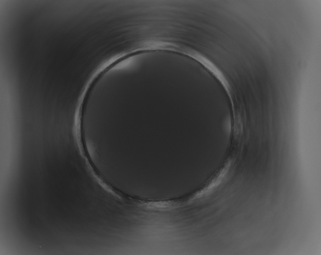 X0000100891053200807151053