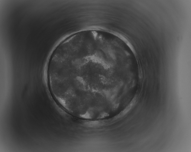 X0000100891054200807151053