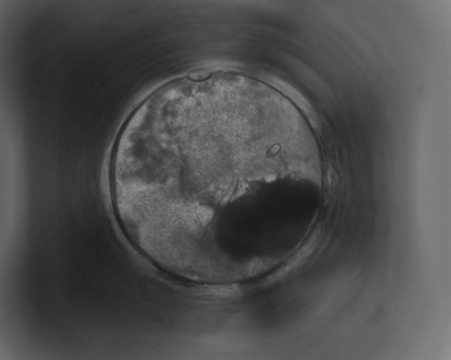 X0000100891055200807151053