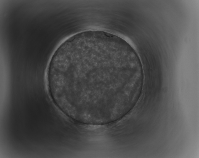 X0000100891056200807151053