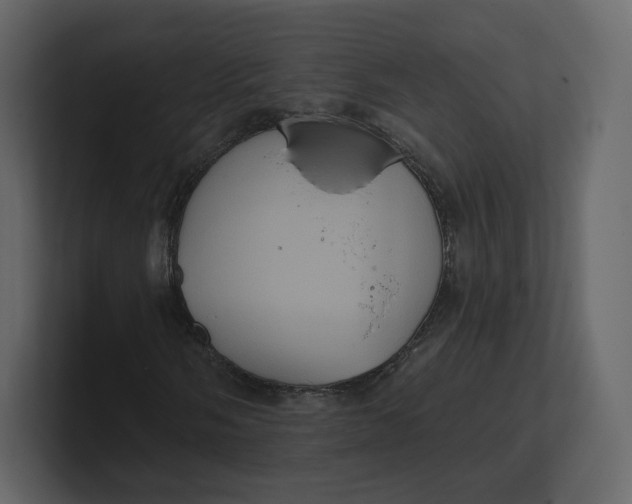 X0000100891058200807151052