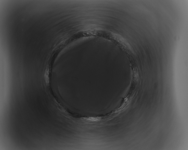 X0000100891060200807151052