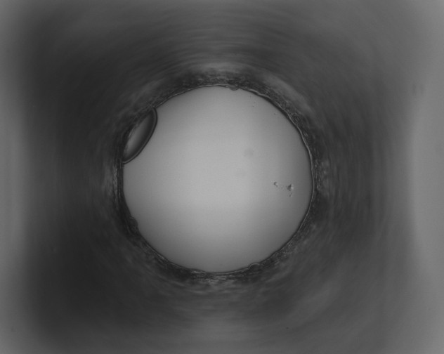 X0000100891061200807151052