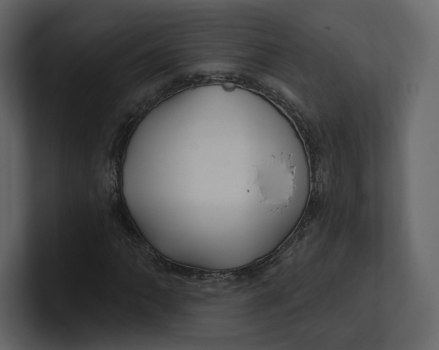 X0000100891062200807151052