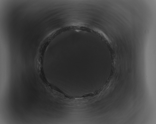 X0000100891064200807151052