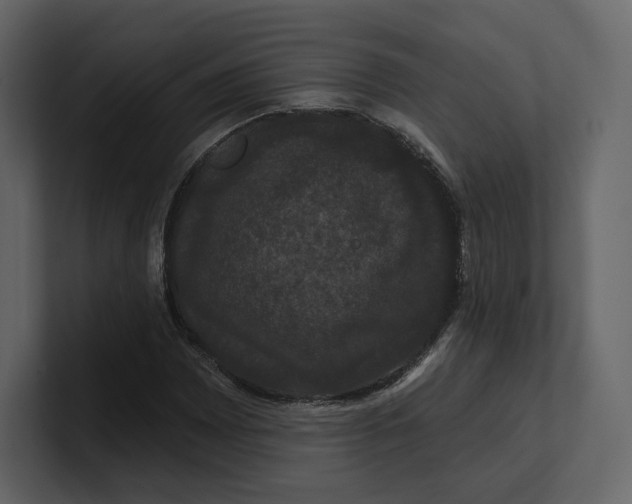 X0000100891065200807151052