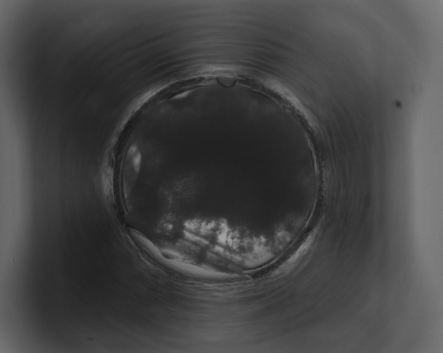 X0000100891066200807151052