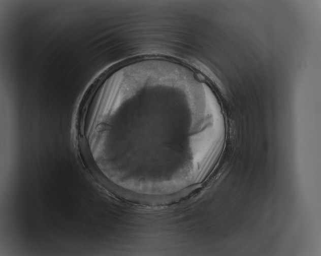 X0000100891068200807151052