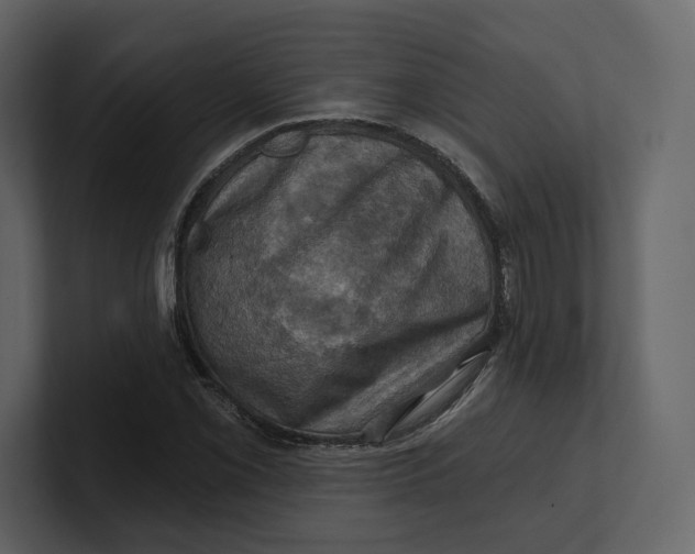 X0000100891069200807151052