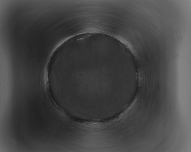 X0000100891070200807151052