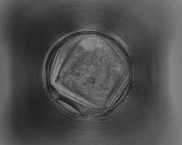 X0000100891072200807151052