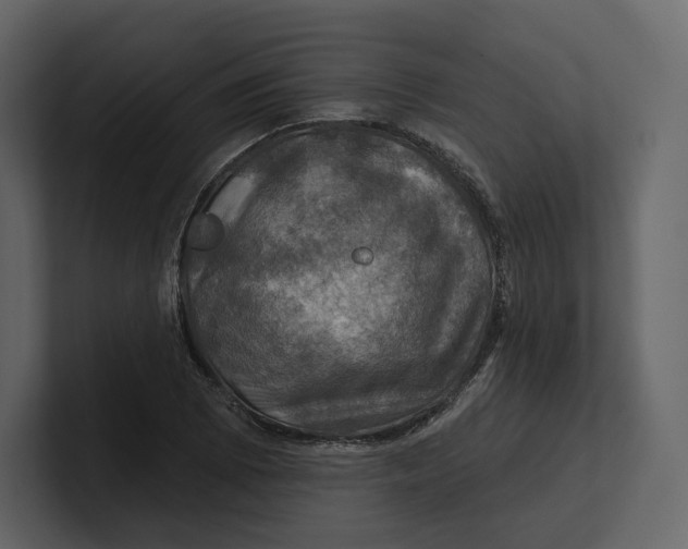 X0000100891073200807151052