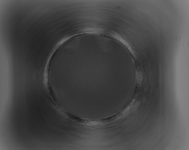 X0000100891074200807151052