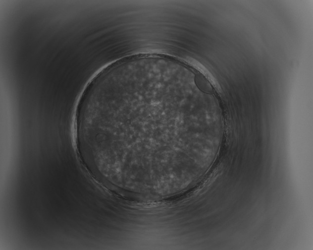 X0000100891076200807151052