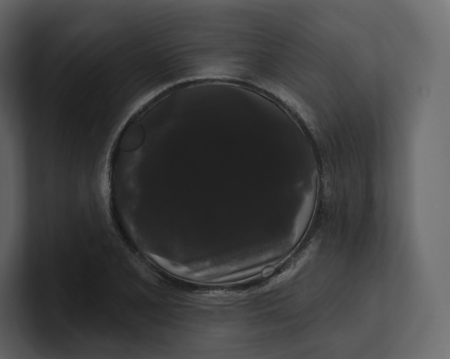 X0000100891077200807151052