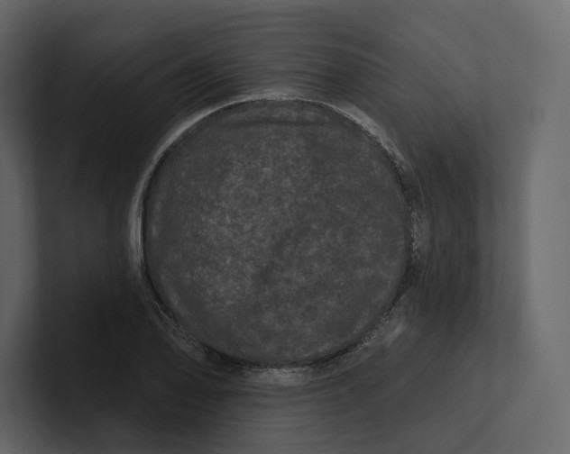 X0000100891078200807151052