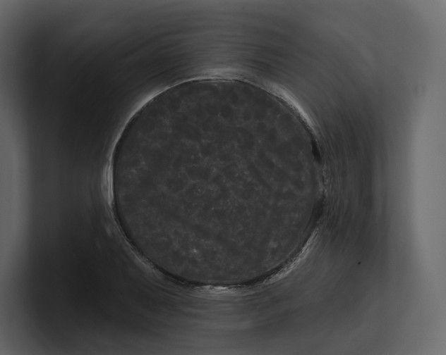 X0000100891079200807151052