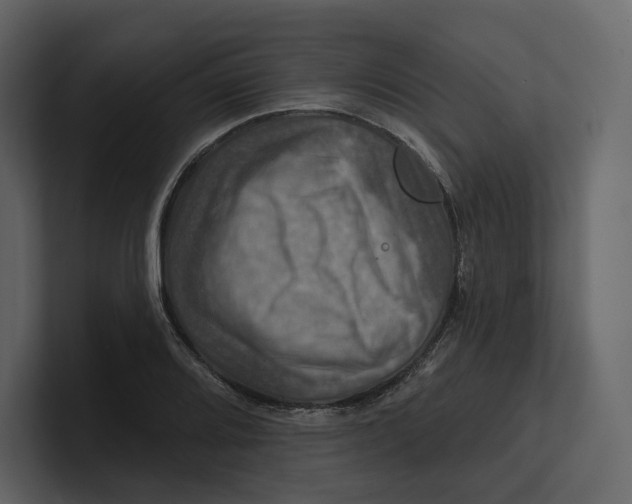 X0000100891080200807151052