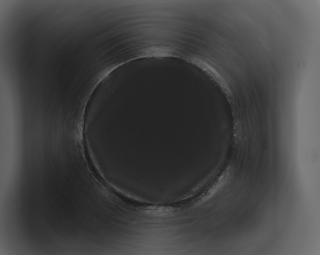 X0000100891081200807151052