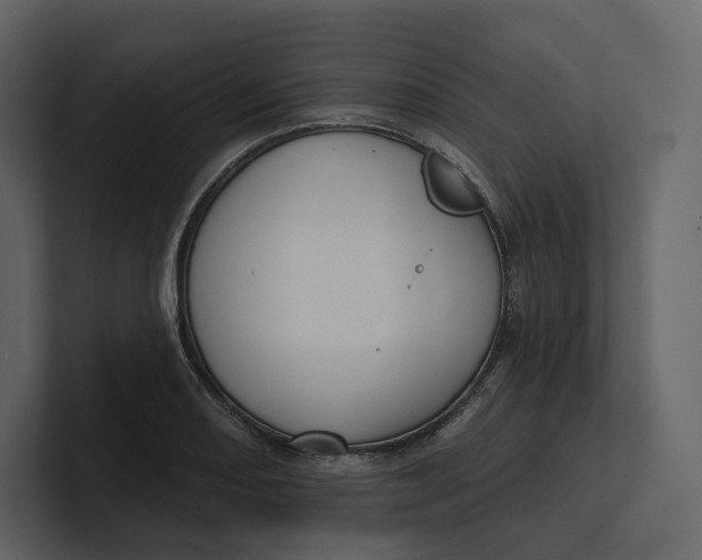 X0000100891082200807151052