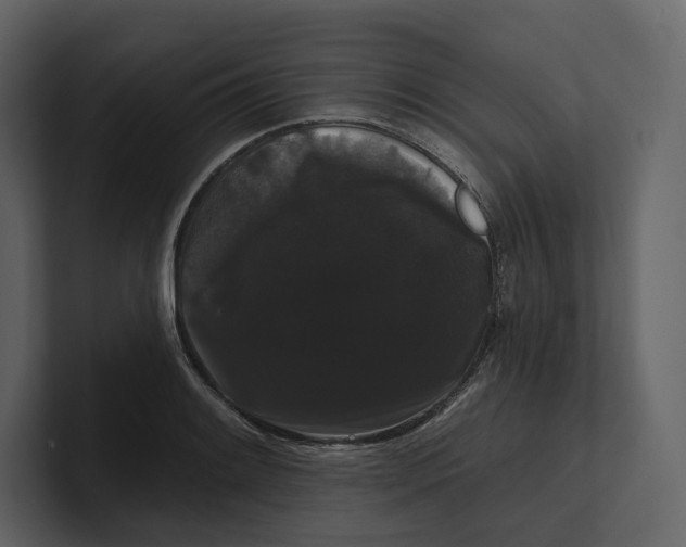 X0000100891084200807151052