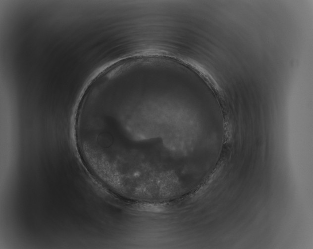 X0000100891086200807151052