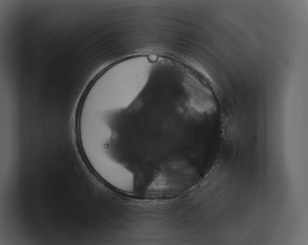 X0000100891087200807151052