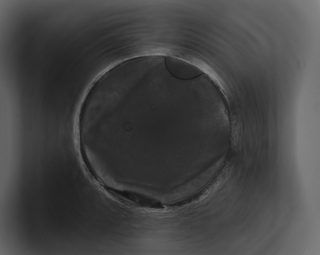 X0000100891088200807151052