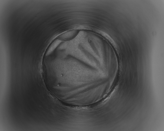 X0000100891089200807151052