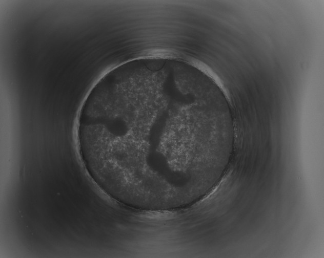 X0000100891091200807151052